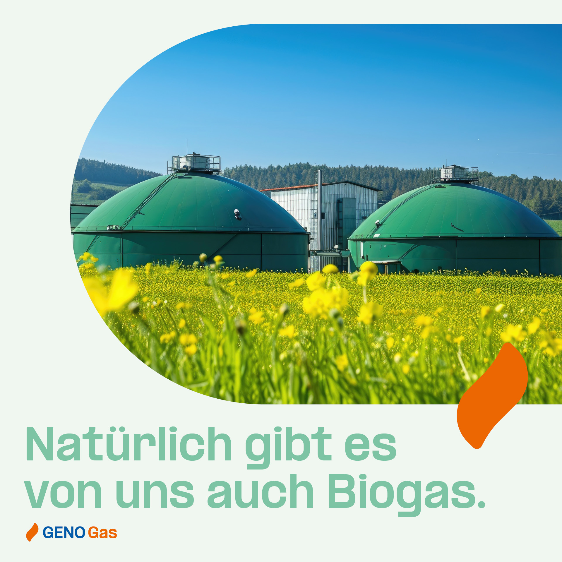 Zwei große, grüne, kuppelförmige Biogastanks in einem Feld mit gelben Blumen. Im Hintergrund sind bewaldete Hügel und ein klarer blauer Himmel zu sehen. Der Text im Bild lautet: "Natürlich gibt es von uns auch Biogas. GENO Gas".